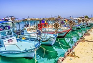 Establish a Company in the Fishing Sector in Dubai
